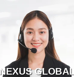 NEXUS GLOBAL AI Consultant